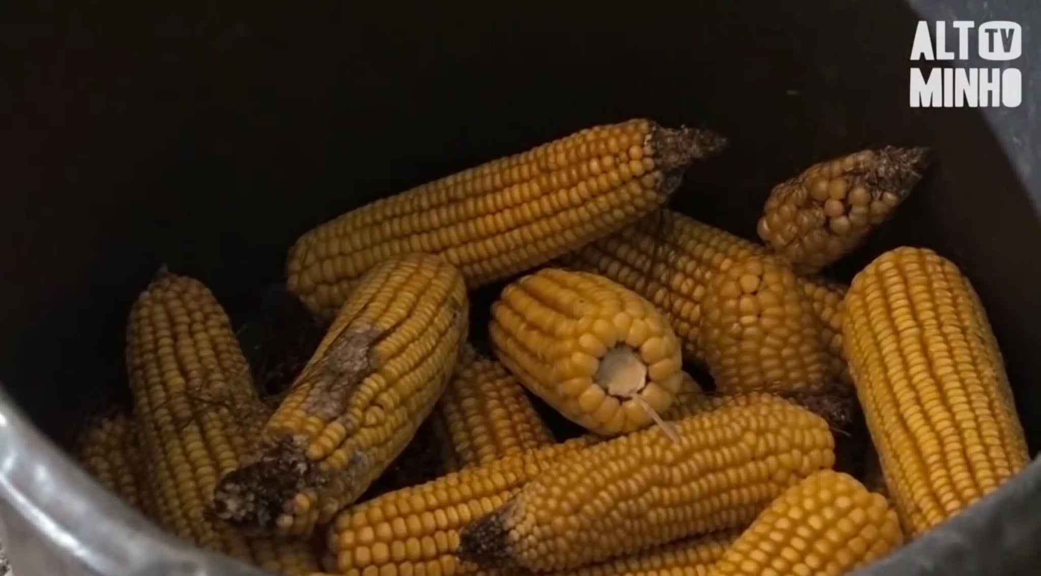 Monção acolhe Desfolhada Tradicional